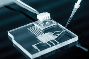 Lab on a chip device for genetic testing