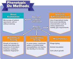 Summary diagram of phenotypic diagnostic methods