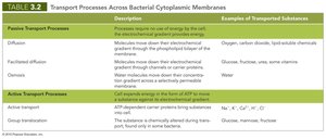 Table: Transport Processes Across Bacterial Cytoplasmic Membranes
