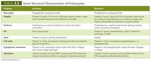 Table: Some Structural Characteristics of Prokaryotes
