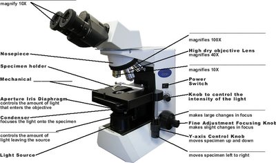 Labeled parts of a light microscope