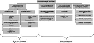 Biodegradable polymers chart