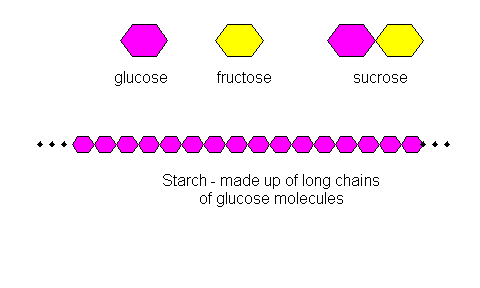 Polysaccharide structure