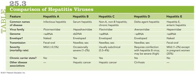 Comparison of Hepatitis Viruses table