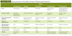 Characteristics of phototrophs