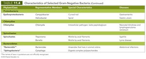 Characteristics of Gram-negative bacteria 3/3