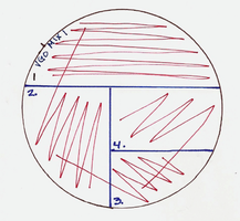 Diagram of quadrant streak plate technique