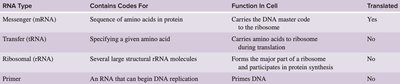 RNA types table
