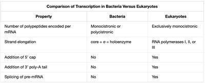Comparison table of transcription