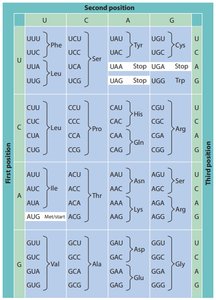Genetic code table