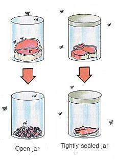 Redi's experiment with open and sealed jars