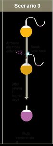 Pasteur's swan-neck flask experiment, scenario 3