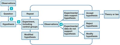 Flowchart of the scientific method