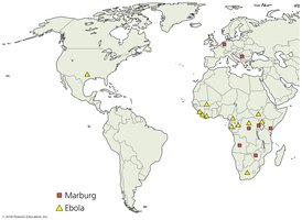 Map of Marburg and Ebola virus outbreaks