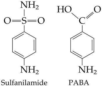 Competitive inhibition: sulfanilamide vs PABA