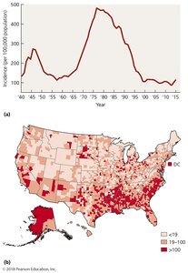 Incidence of gonorrhea in the US