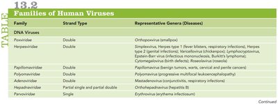 Table of DNA virus families