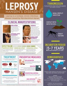 Infographic: leprosy (Hansen's disease) transmission, symptoms, treatment, and prevention