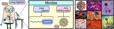 Microbes: Living organisms and infectious agents