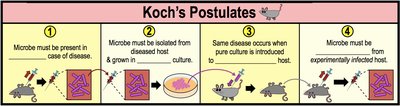 The Four Koch's Postulates