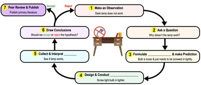 Steps of the Scientific Method