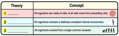 Basic Theories of Biology