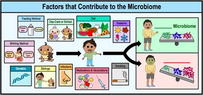 Factors influencing the microbiome