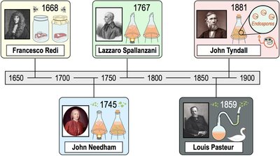 Timeline of spontaneous generation experiments