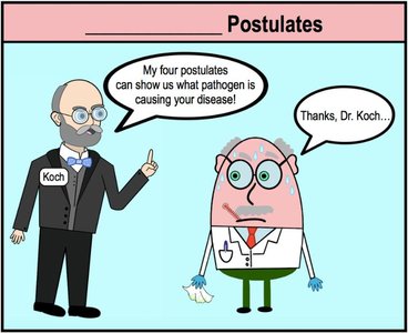 Koch's Postulates cartoon