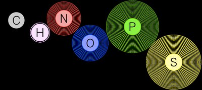 CHNOPS essential elements