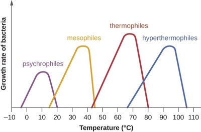 Growth rate of bacteria at different temperatures