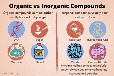 Organic vs Inorganic Compounds