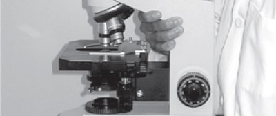 Hand supporting the base of the microscope