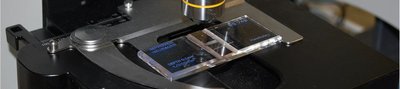 Clip lever on microscope stage