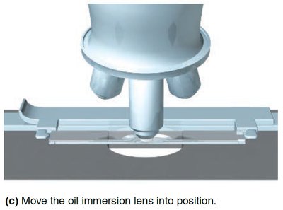 Move oil immersion lens into position