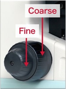 Oil immersion lens in use