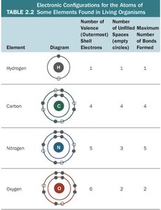 Table of electronic configurations for atoms of some elements found in living organisms
