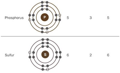 Electron configurations of phosphorus and sulfur