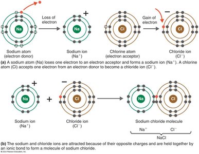 Formation of sodium chloride by ionic bonding