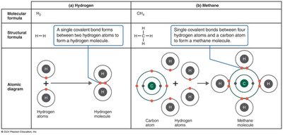 Covalent bonding in hydrogen and methane molecules