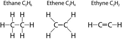Dehydration synthesis and hydrolysis of disaccharides