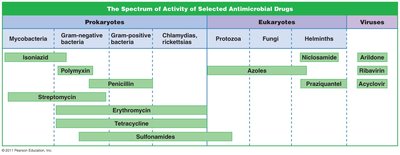 Spectrum of action for selected antimicrobial agents