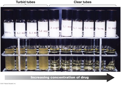 Minimum inhibitory concentration test
