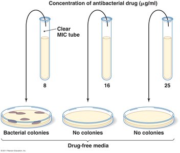 Minimum bactericidal concentration test