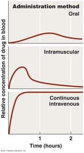 Effect of route of administration on chemotherapeutic agent