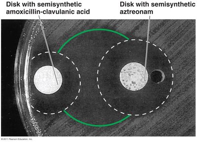 Example of synergism between two antimicrobial agents