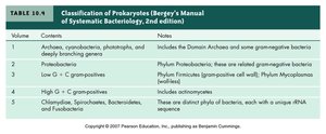 Table showing classification of prokaryotes from Bergey's Manual