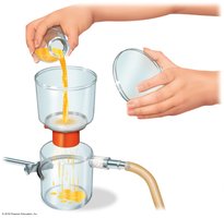 Filter sterilization setup