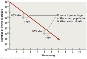Microbial death curve showing constant percentage killed per minute