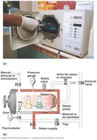 Sterilization pouch and endospore test